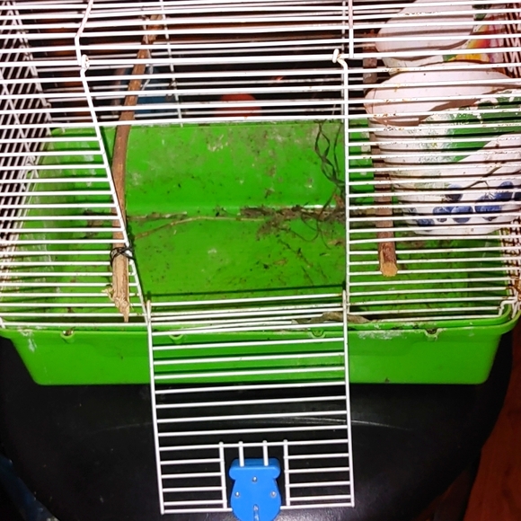 BIRD CAGE MINI CONDO - Picture 5 of 7